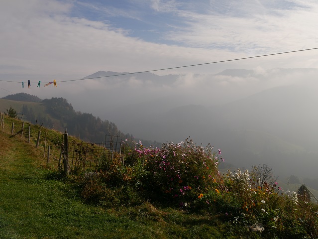 Herbstliches Idyll an der Alpe Obere Schwande am Grünten