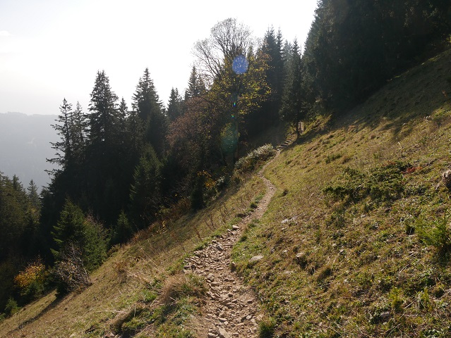 Wanderweg von der Alpe Zweifelgehren am Grünten