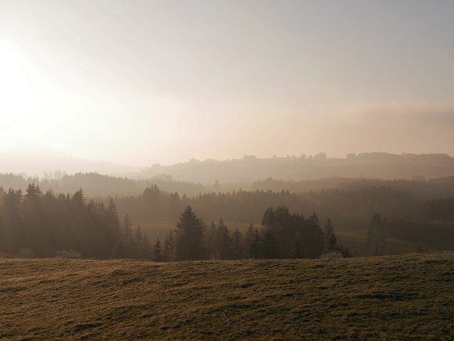 Landschaft - winterliche Nebel-Sonne-Szene im Ostallgäu #FopaNet