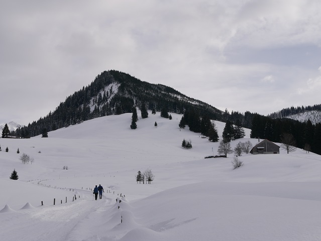 Alpe Sonthofer Hof und Sonthofer Hörnle im Winter