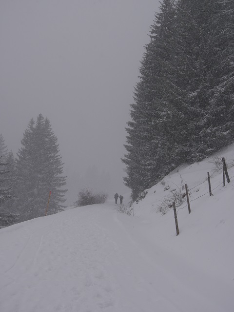 Aufstieg zur Kappeler Alp im Schneetreiben