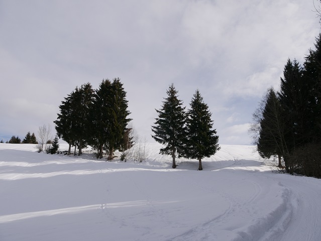 Wanderweg zur Alpe Sonthofer Hof im Winter