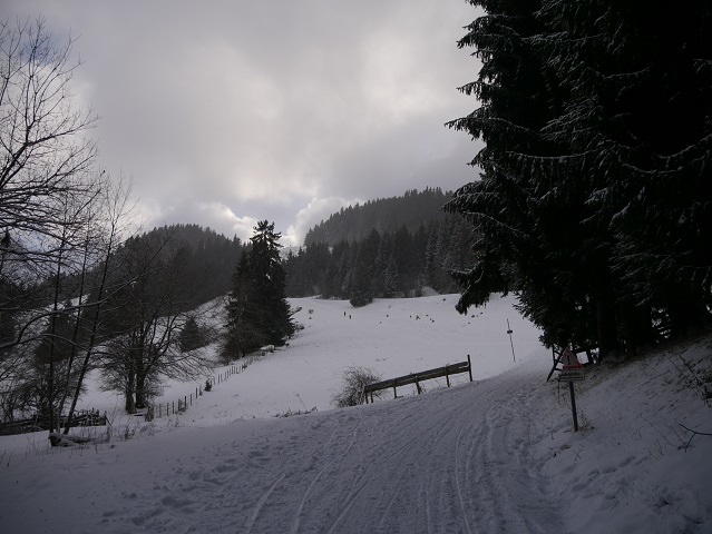 Weg zur Hündeleskopfhütte im Winter