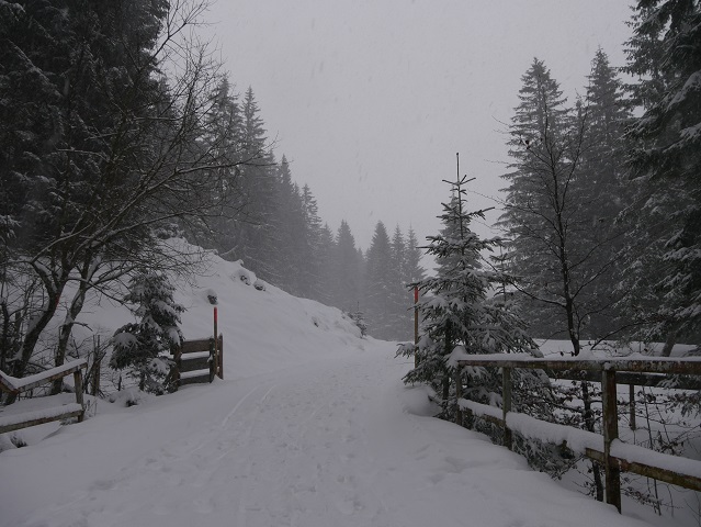 Winterwanderweg zur Kappeler Alp