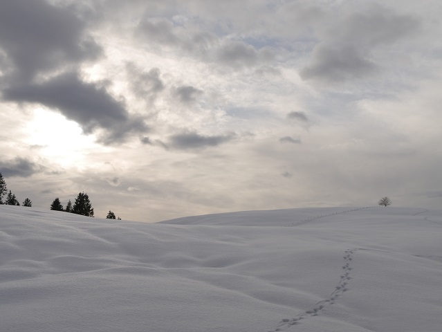 Winterlandschaft in den Allgäuer Alpen