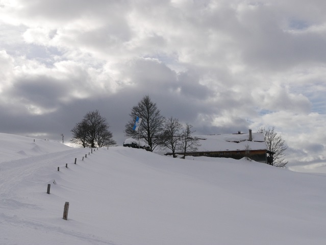 die Alpe Sonthofer Hof im Schnee