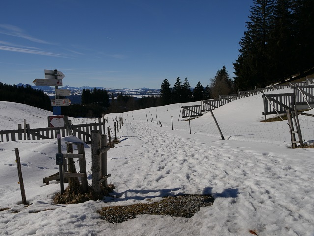 Beginn des Wegs vom Auerberg nach Stötten