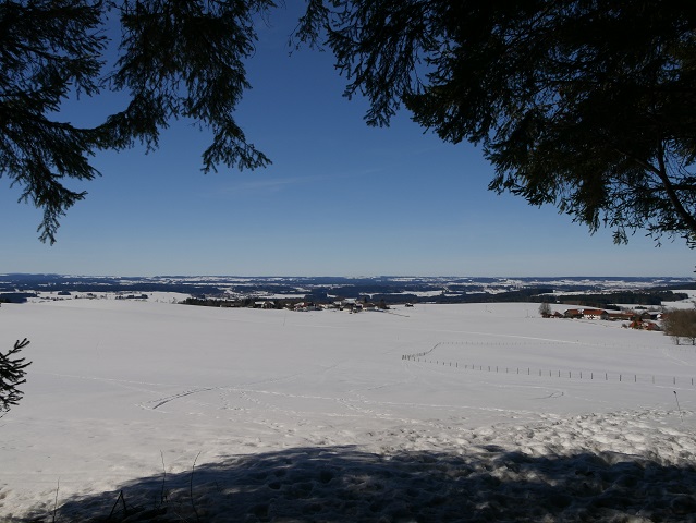 Blick auf Geisenhofen und Hofstatt