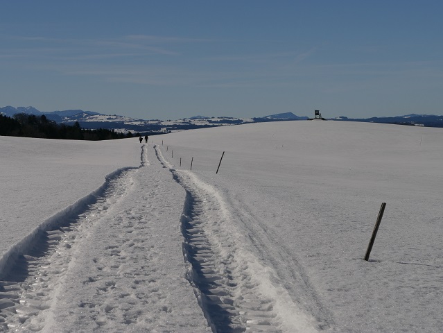 Feldweg vom Auerberg nach Stötten im Winter