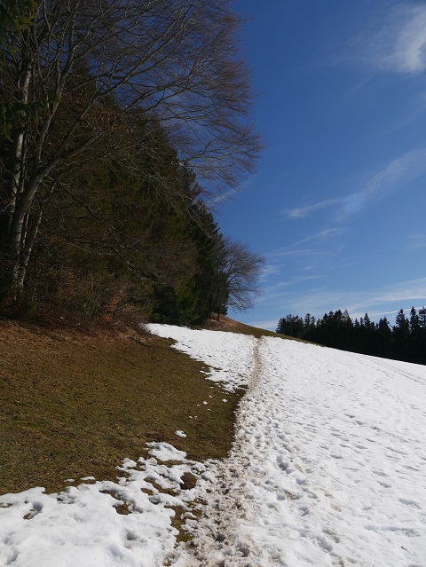 Weg zum Buffernandl auf dem Auerberg