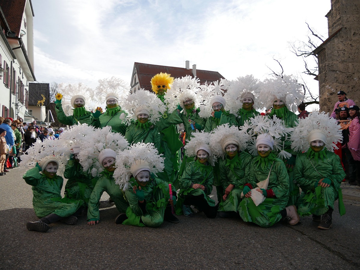 Faschingsumzug Obergünzburg 2019 - Günztal-Pusteblumen