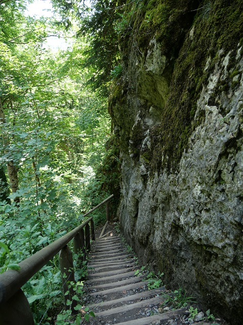 Abstieg auf dem Nothaldeweg