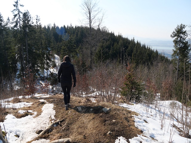 Abstieg vom Sechs-Seen-Blick am Buchenberg