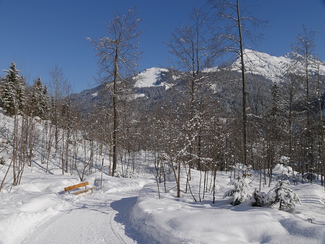 Winterwandern im Kleinwalsertal: Abstieg von Mittelberg zur Breitach