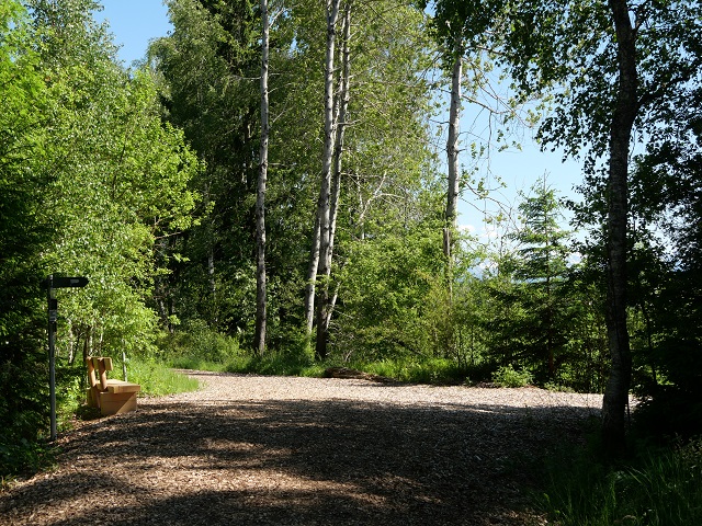 Abzweigung vom Rundweg Werdensteiner Moos nach Werdenstein