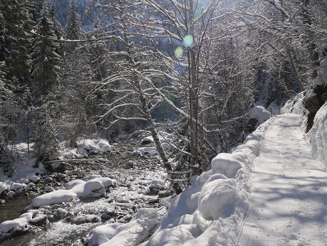 auf dem Breitachweg bei Mittelberg im Winter