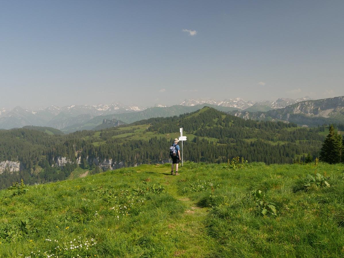 Auf dem Hochschelpen bei Balderschwang