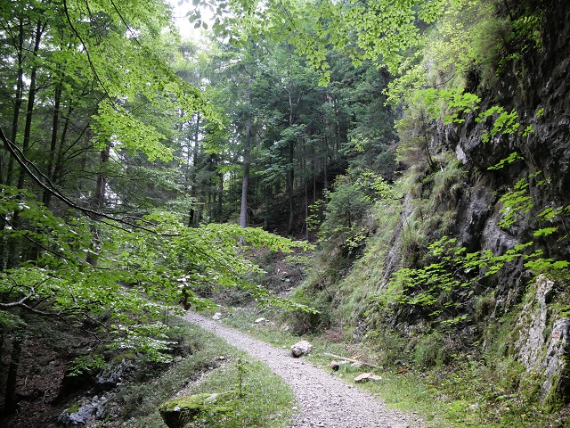 Auf dem Weg zur Salober Alm