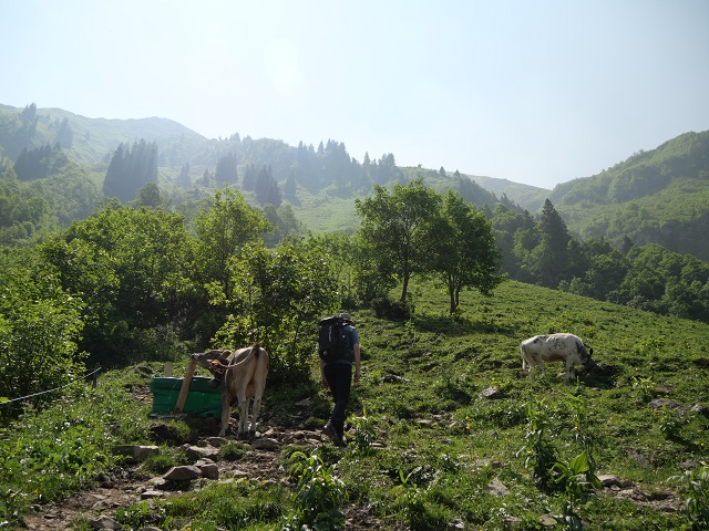 Aufstieg an der Petersalpe zur Enzianhütte