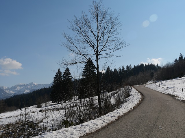 Aufstieg auf den Buchenberg