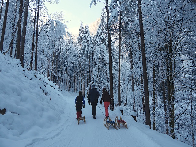 Aufstieg mit dem Schlitten durch den Winterwald