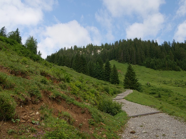 Aufstieg nach der Alpe Melköde