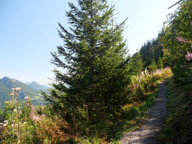 Aufstieg zum Imberger Horn