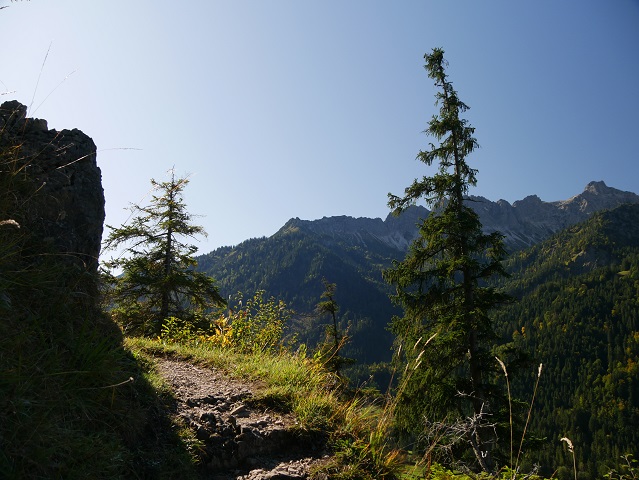 Aufstieg zum Aussichtspunkt Köpfle bei Hinterstein