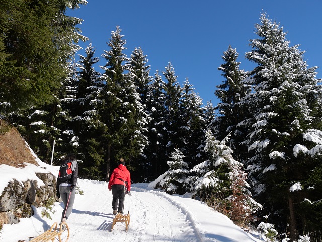 Aufstieg zum in Bad Hindelang rodeln