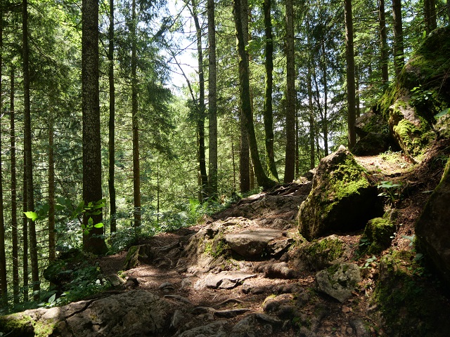 Aufstieg zur Alpe Topfen