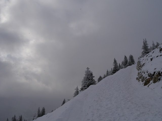 Aufstieg zur Ostlerhütte auf dem Breitenberg