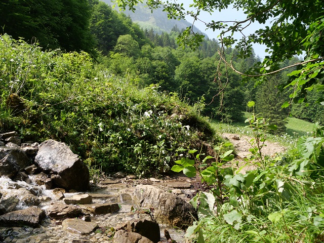 Bachquerung auf dem Weg zur Petersalpe bei Oberstdorf