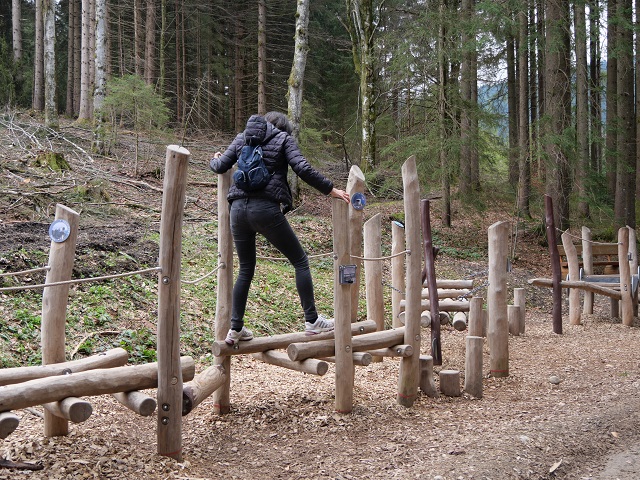 Balancierstation am Carl-Hirnbein-Weg bei Weitnau