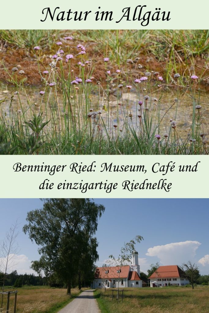 Lohnender Ausflug ins Benninger Ried