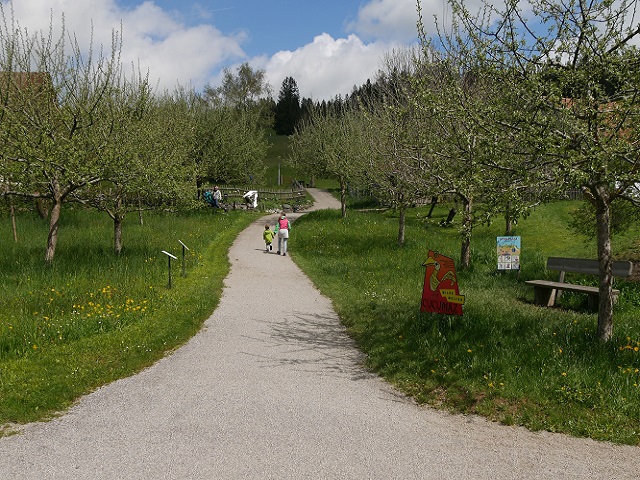 Streuobstwiese im Freigelände des Bergbauernmuseums Diepolz