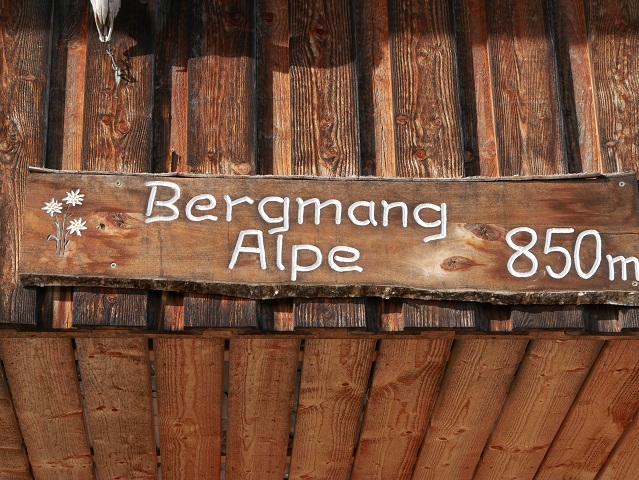 Bergmang Alpe 850 m