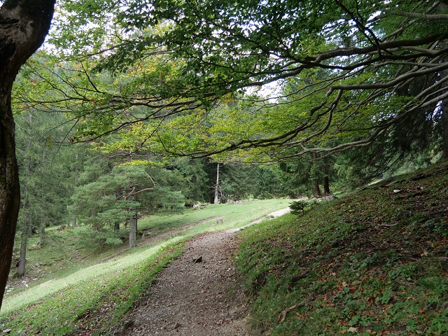 Bergwanderweg oberhalb der Salober Alm