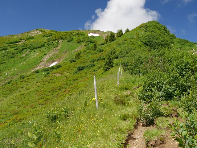 Bergtour aufs Steinmandl - Gipfel in Sicht