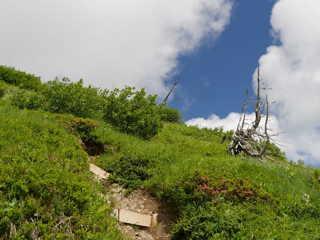 Bergtour aufs Steinmandl - Aufstieg