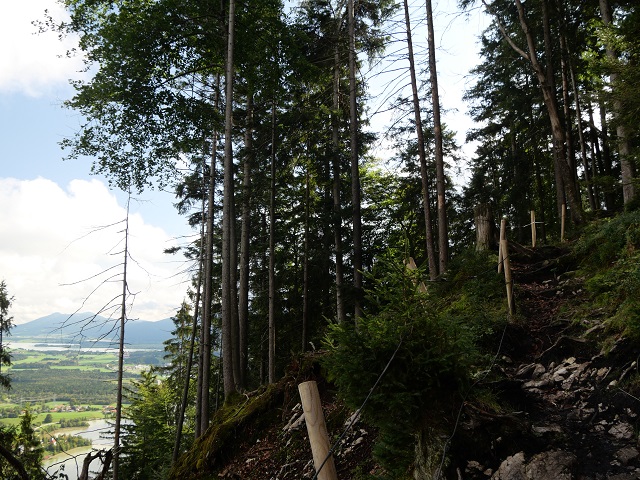 Bergweg mit Seenblick