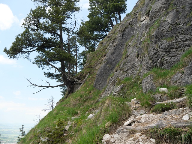 Bergweg mit Stufen am Tegelberg