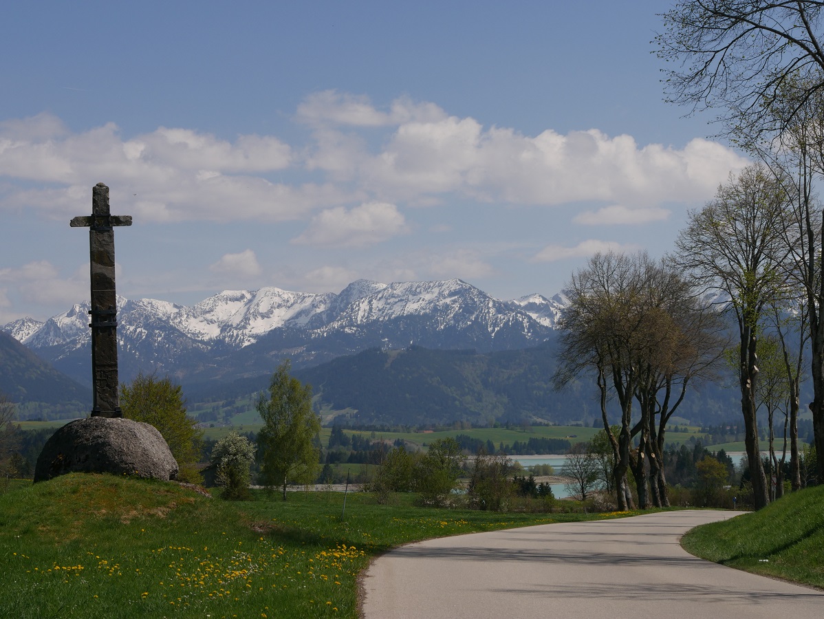 Blick auf Forggensee und Berge auf der Radtour Kaufbeuren-Füssen