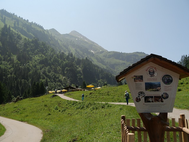 Blick auf die Buchrainer Alpe bei Oberstdorf