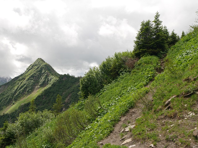Bergtour aufs Steinmandl - Blick aufs Grünhorn