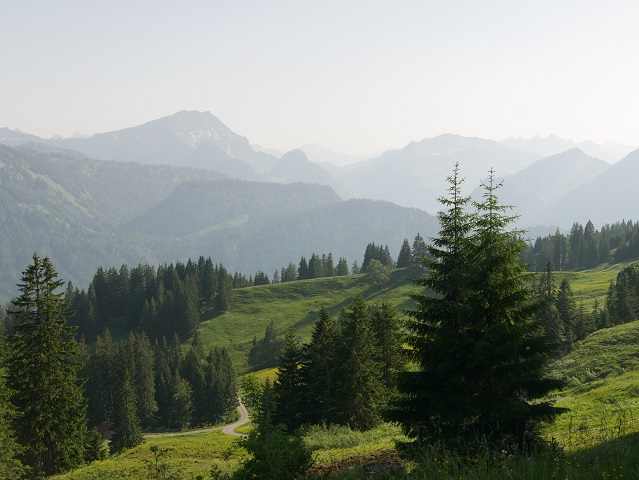 Blick auf die Gipfel des Bregenzerwaldes
