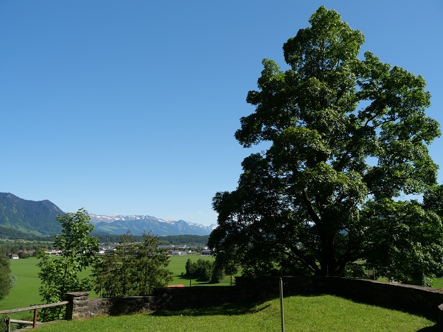 Blick nach Süden vom Burghof der Ruine Werdenstein