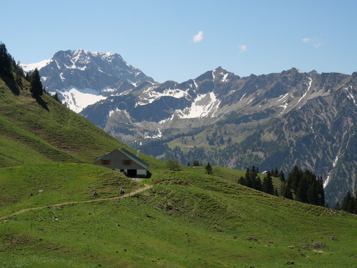 eine Alphütte an einem Berghang