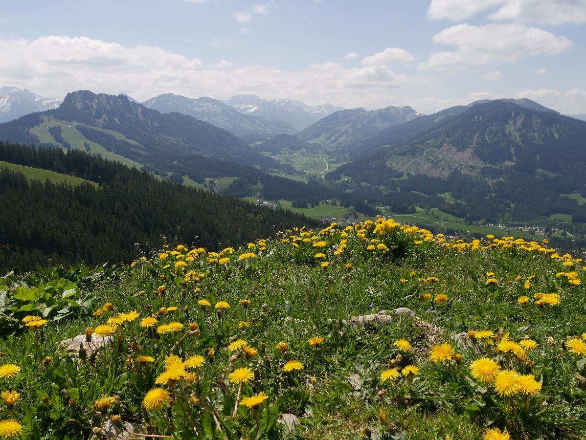 Panoramablick nach Süden von der Reuterwanne