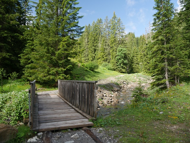 Brücke über die Grappa im Kleinwalsertal