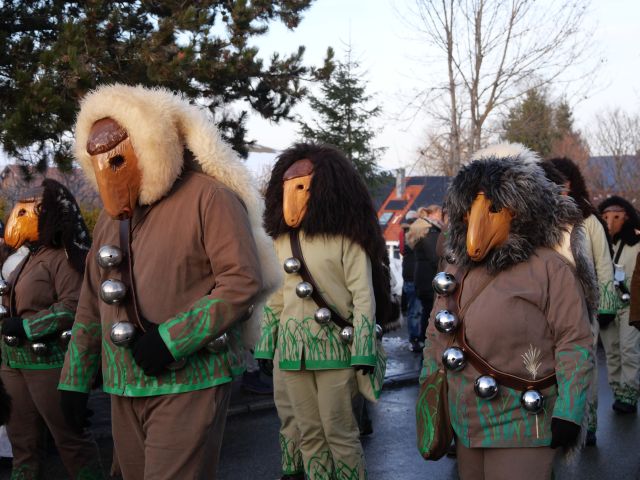 D'Schoaf Böck der Narrenzunft Arnach